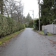 Illustration for article titled Pics from the Curbside: 2018-04-08 from Langara Gardens